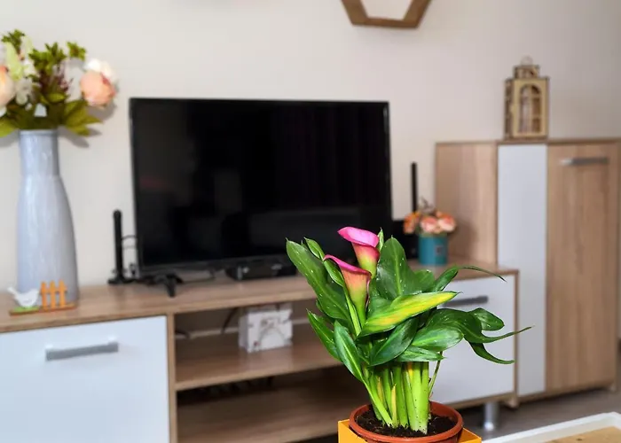 Apartment Colibri