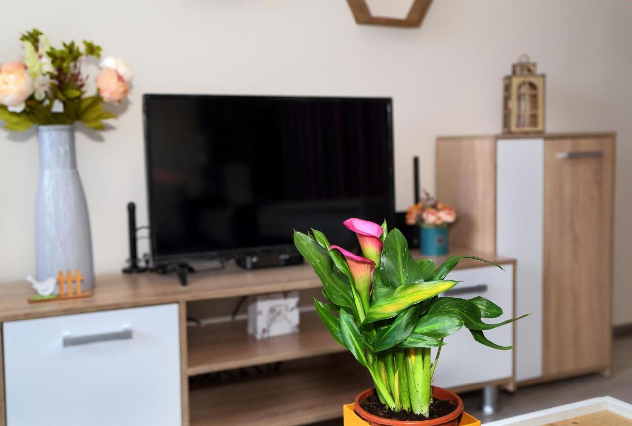 Apartament Colibri *